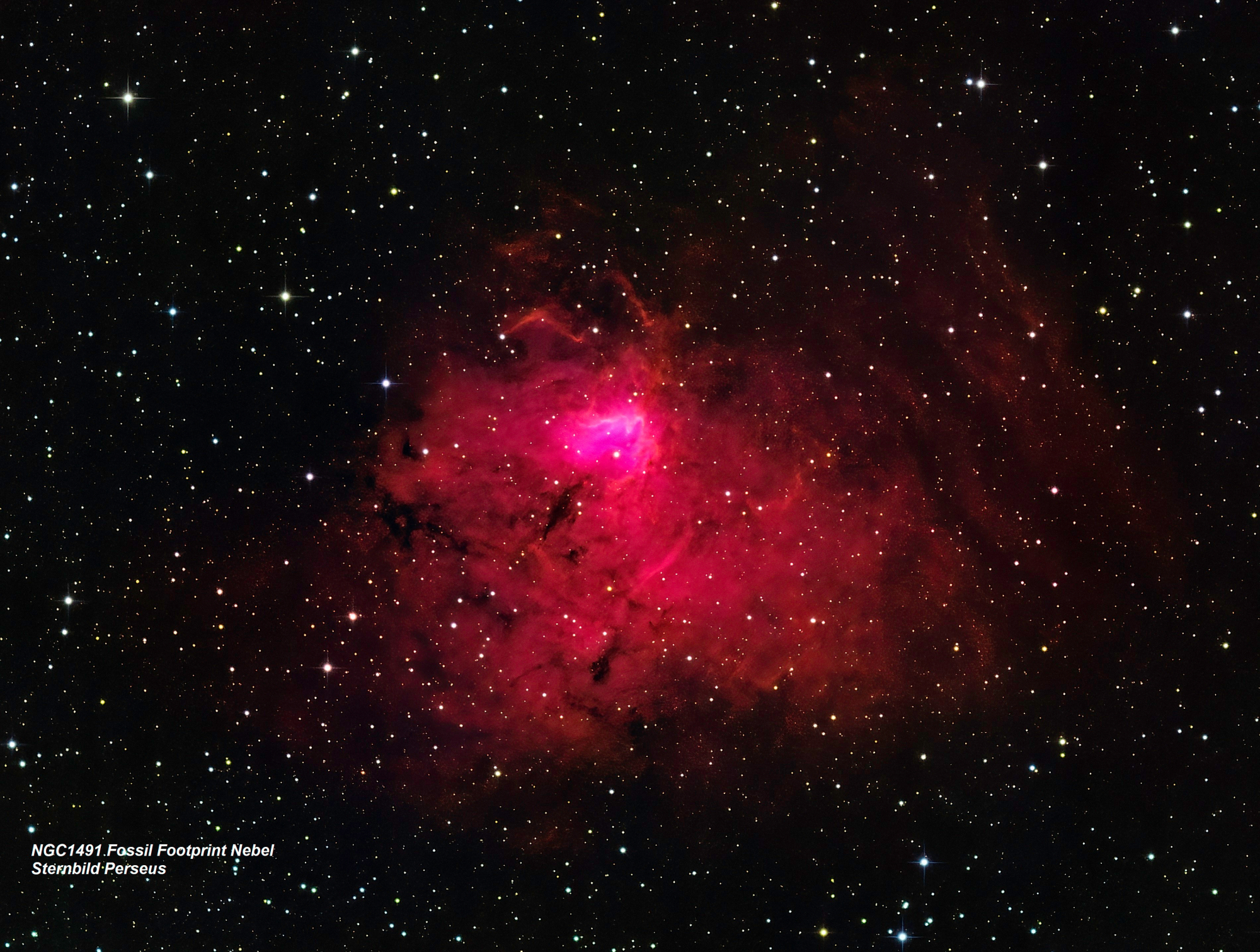 NGC 1491 Fossil Footprint Nebel